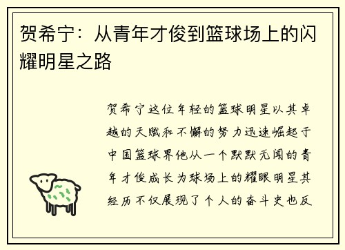 贺希宁：从青年才俊到篮球场上的闪耀明星之路